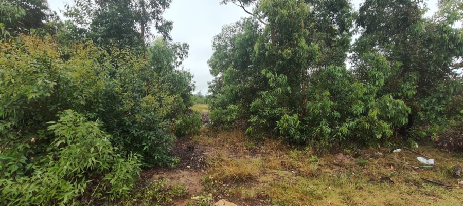 0 Bedroom Property for Sale in Greenbushes Eastern Cape
